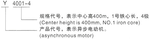 西安泰富西玛Y系列(H355-1000)高压YKS5003-2/1400KW三相异步电机型号说明