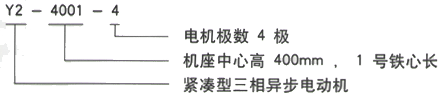 YR系列(H355-1000)高压YKS5003-2/1400KW三相异步电机西安西玛电机型号说明